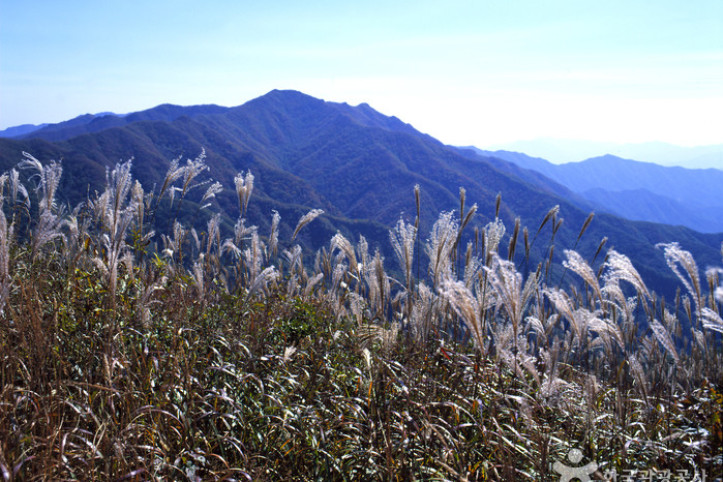 장안산군립공원 여행 추천 - 메고지고