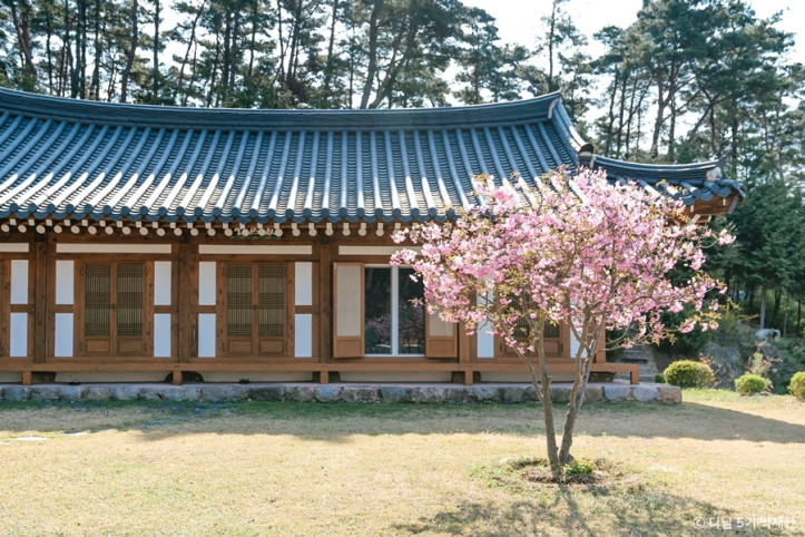 수림사 여행 추천 - 메고지고