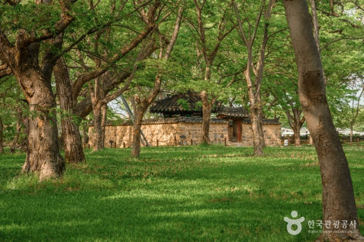 경주 계림 여행 추천 - 메고지고