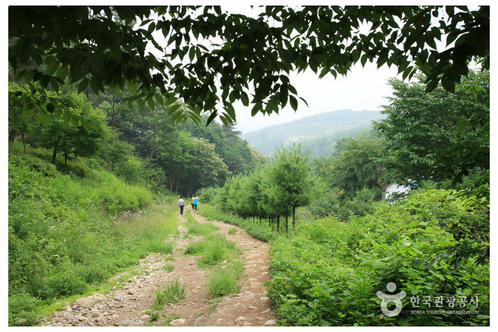 용문산 여행 추천 - 메고지고