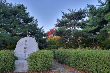 자이언트제트 여행 추천 - 메고지고