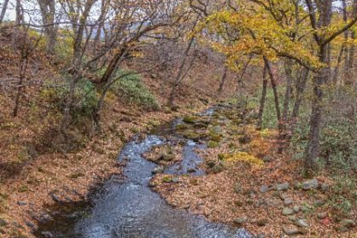 영모정 여행 추천 - 메고지고