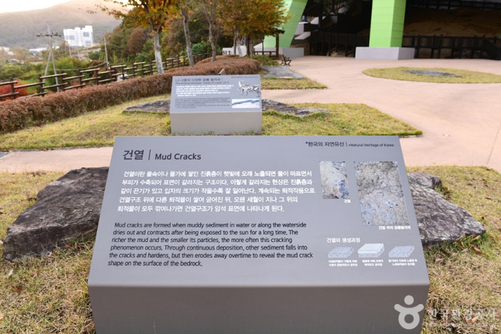 화순 서유리 공룡발자국화석 산지 여행 추천 - 메고지고