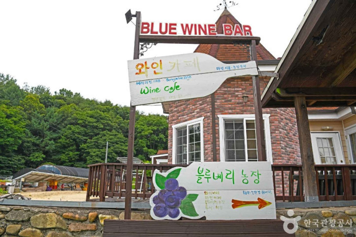 영동블루와인농원 여행 추천 - 메고지고