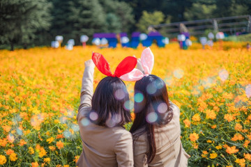 대구두류공원 여행 추천 - 메고지고