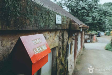 엉또돌다카페앤농원 여행 추천 - 메고지고