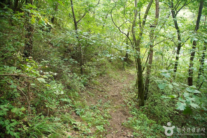 국지산 여행 추천 - 메고지고
