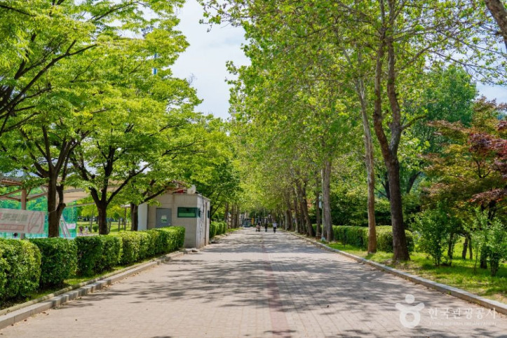 옥구공원 여행 추천 - 메고지고