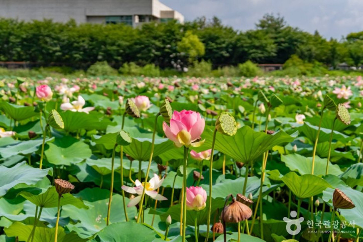 봉담호수공원 여행 추천 - 메고지고