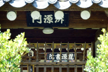사과숲애 여행 추천 - 메고지고