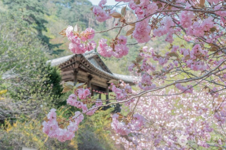 설악산국립공원(남설악) 여행 추천 - 메고지고