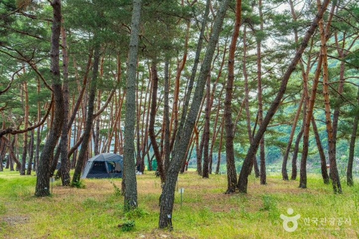 오천솔밭유원지 여행 추천 - 메고지고