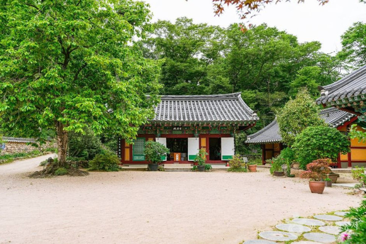기림사 여행 추천 - 메고지고
