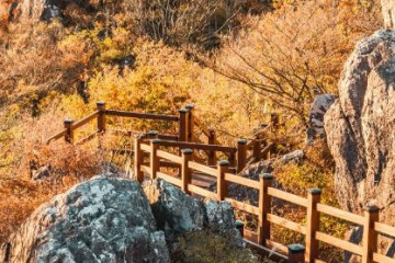 거제자연휴양림 여행 추천 - 메고지고