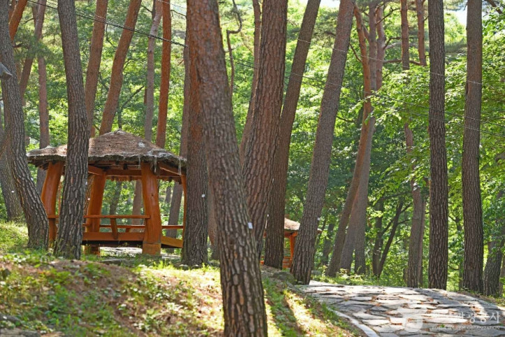 만수산자연휴양림 여행 추천 - 메고지고