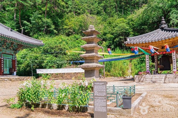 보흥사 여행 추천 - 메고지고