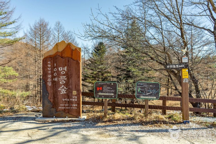 만항재 여행 추천 - 메고지고