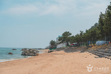 강구항 대게거리 여행 추천 - 메고지고