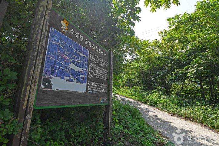 진부리 마을관리휴양지 여행 추천 - 메고지고