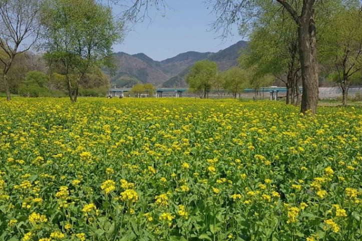 옥천금강수변 친수공원 여행 추천 - 메고지고