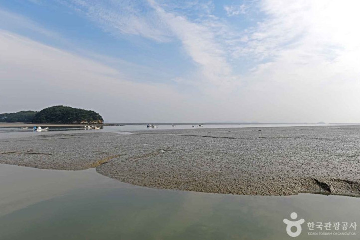 예단포선착장 여행 추천 - 메고지고