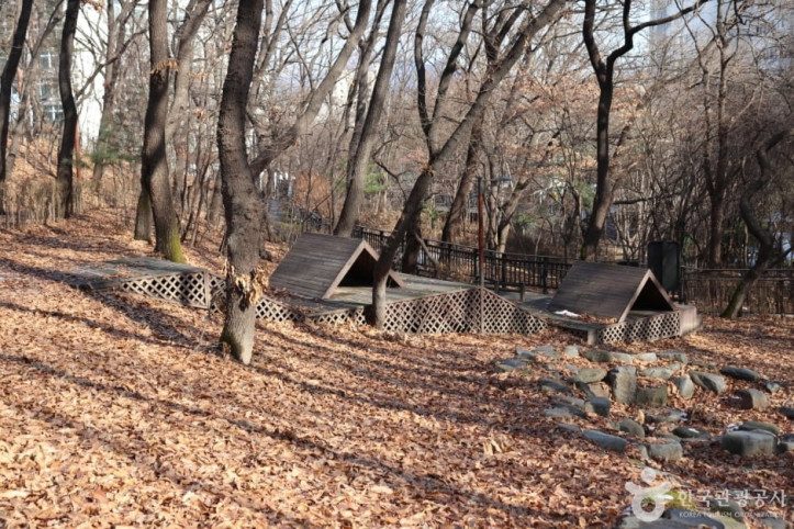 오동근린공원 유아숲체험장 여행 추천 - 메고지고