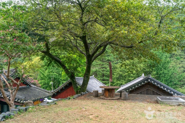 경흥사(경산) 여행 추천 - 메고지고