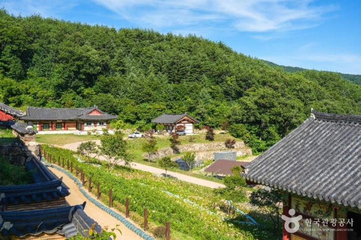 용문사(예천) 여행 추천 - 메고지고