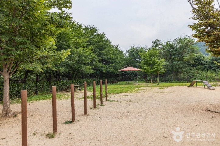 인천대공원 반려동물 놀이터 여행 추천 - 메고지고