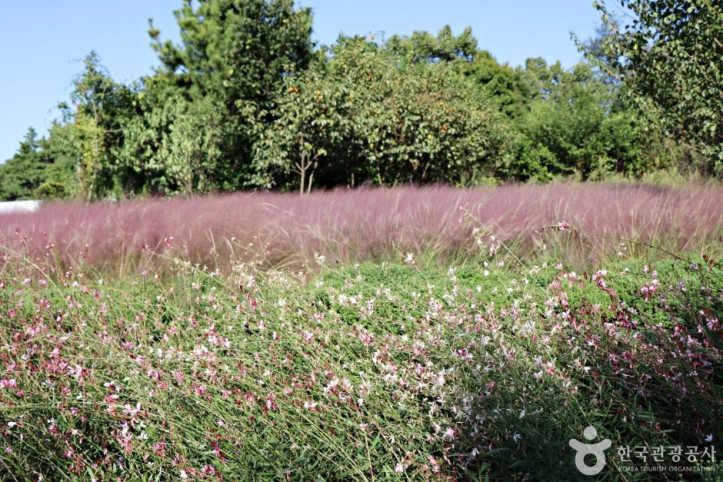 신흥근린공원 여행 추천 - 메고지고
