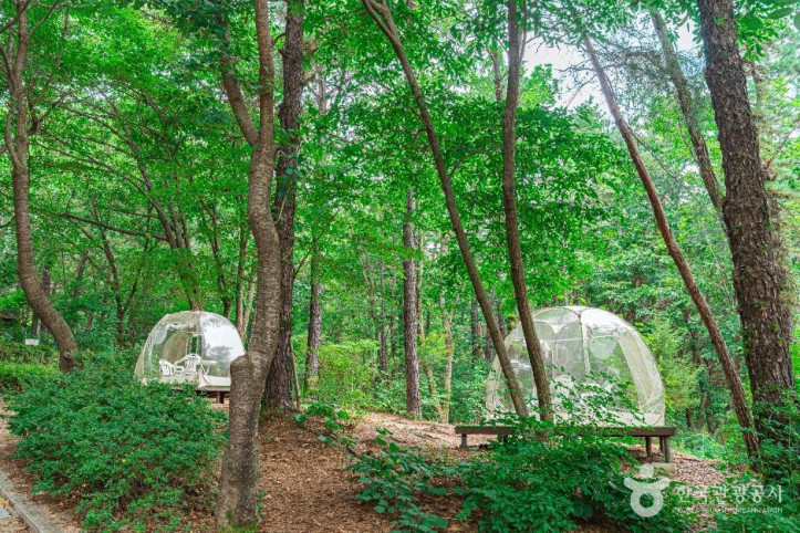 직동 근린공원 여행 추천 - 메고지고