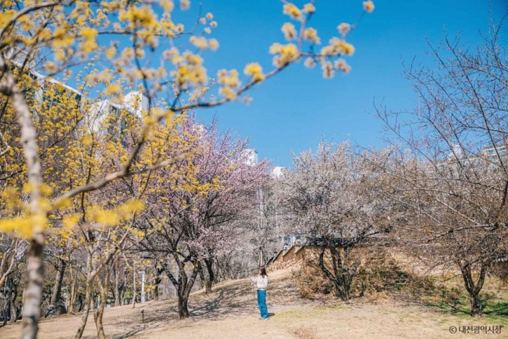 대전 회덕 동춘당 여행 추천 - 메고지고