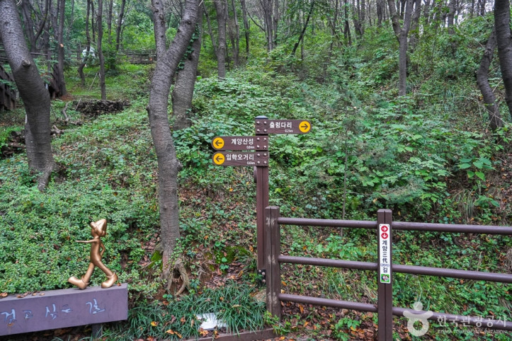계양산 산림욕장 여행 추천 - 메고지고