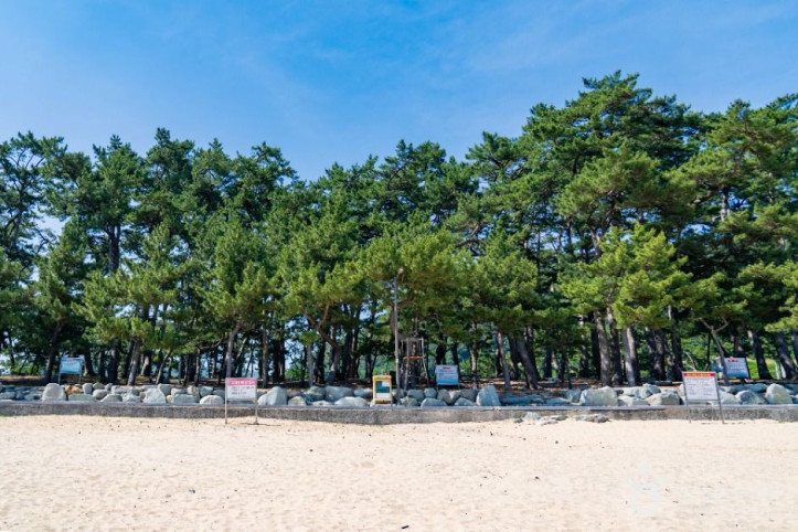 방죽포해수욕장 여행 추천 - 메고지고
