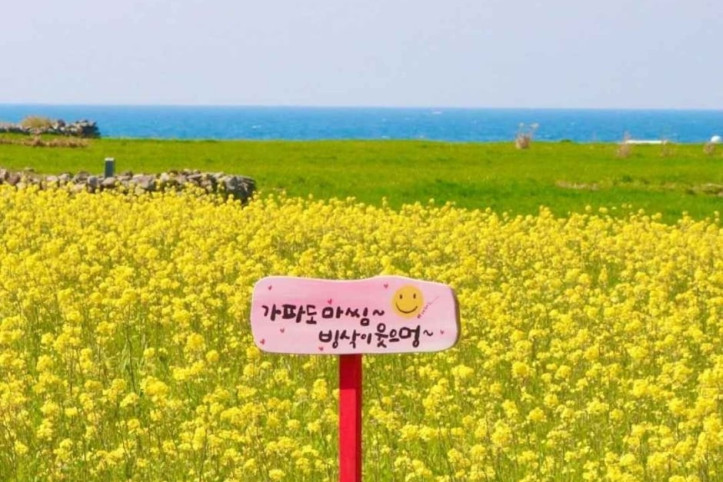 가파도 소망전망대 여행 추천 - 메고지고
