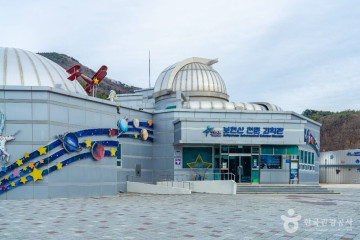영천 목재문화체험장 여행 추천 - 메고지고