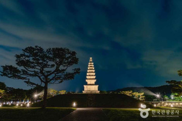 탄금호 피크닉공원 여행 추천 - 메고지고