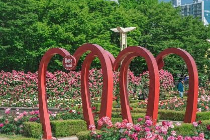 이곡장미공원 여행 추천 - 메고지고