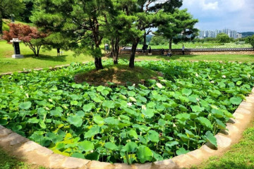 용도수목원 여행 추천 - 메고지고