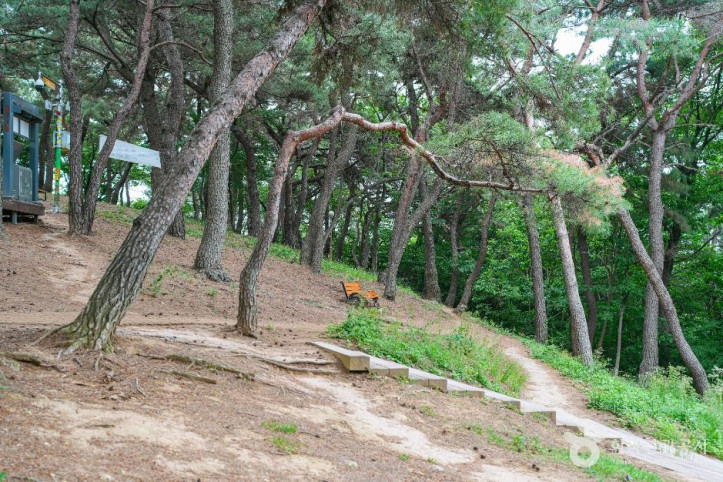 장무공원 여행 추천 - 메고지고