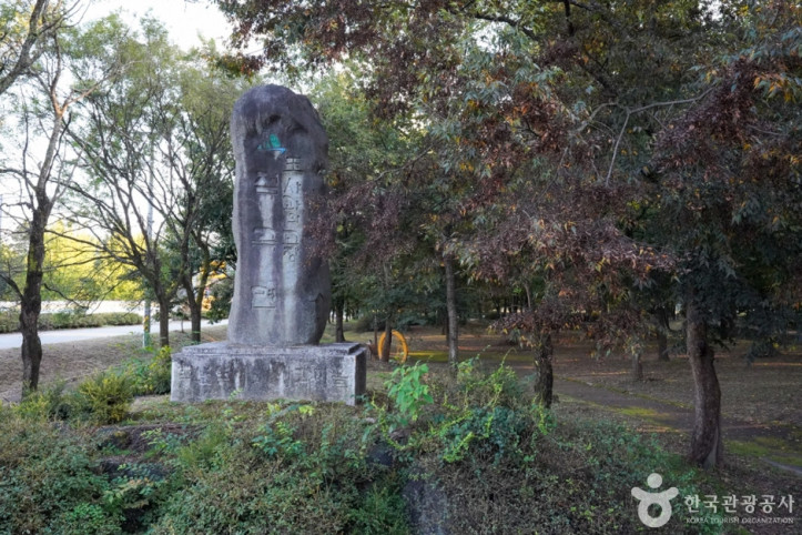 의성 사촌리 가로숲 여행 추천 - 메고지고