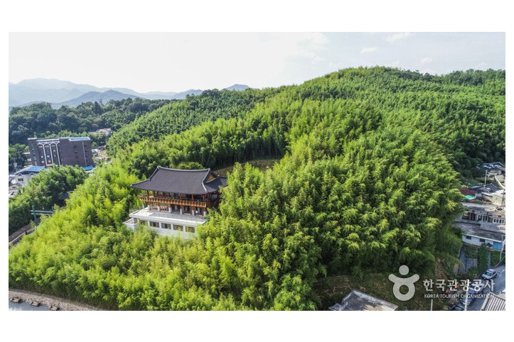 죽녹원 여행 추천 - 메고지고