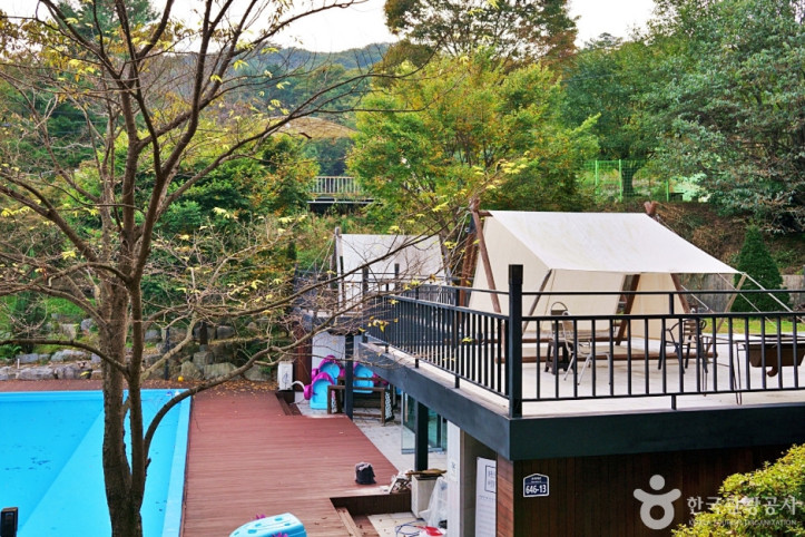 보광산관광농원 여행 추천 - 메고지고
