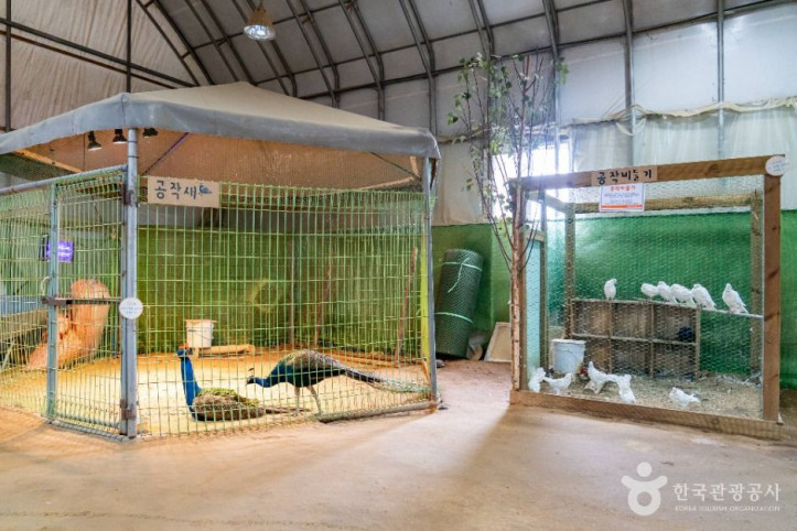 온동물체험농장 여행 추천 - 메고지고