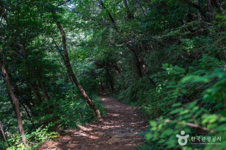 큰끝등대 여행 추천 - 메고지고