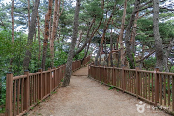 하광정항 여행 추천 - 메고지고