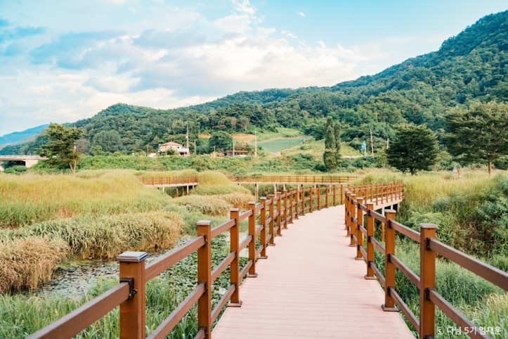 옥순봉생태공원 여행 추천 - 메고지고
