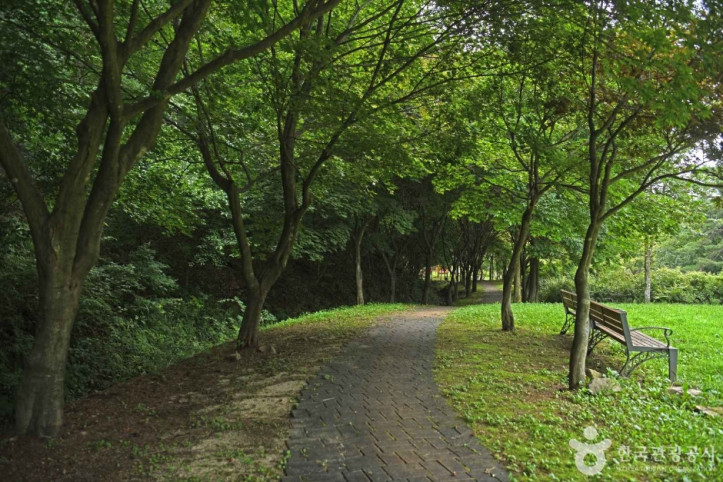 용두산 산림욕장 여행 추천 - 메고지고