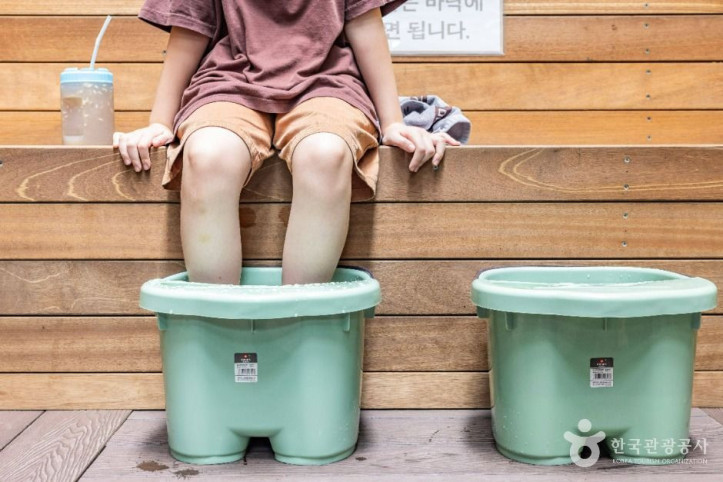 키위스파랜드 여행 추천 - 메고지고