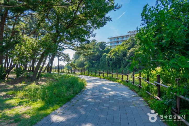 궁평관광지 여행 추천 - 메고지고